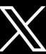 X Twitter